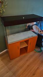 1 meter aquarium, Dieren en Toebehoren, Vissen | Aquaria en Toebehoren, Ophalen, Gebruikt, Leeg aquarium