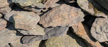 Aquariumstenen beschikbaar voor biedingen