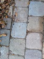 10x10 en een rij 10x20. Het is ongeveer 16m2, Ophalen, Gebruikt, Beton, Klinkers