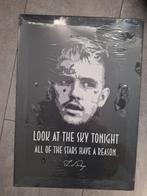 Metal poster lil peep, Ophalen, Zo goed als nieuw, A1 t/m A3, Overige vormen