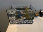 Vissenkom, Dieren en Toebehoren, Vissen | Aquaria en Toebehoren, Ophalen of Verzenden, Zo goed als nieuw, Leeg aquarium