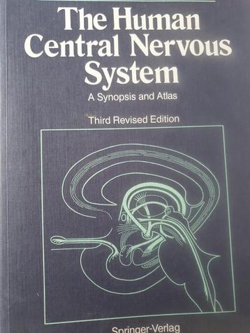 The Human Central Nervous System