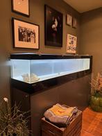 Homarium, Dieren en Toebehoren, Vissen | Aquaria en Toebehoren, Ophalen, Nieuw, Leeg aquarium