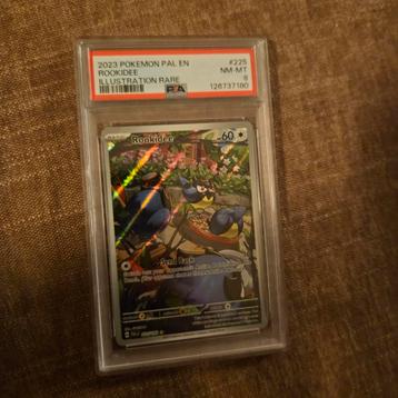 Rookidee Illustration Rare PSA 8 - Pokémon Paldea Evolved beschikbaar voor biedingen