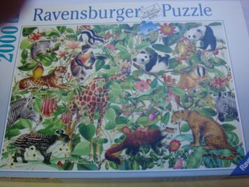 Ravensburger en Jan van Haasteren puzzels. beschikbaar voor biedingen