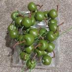 36x Decoratieve Appeltjes , nieuwe, Diversen, Kerst, Ophalen of Verzenden, Nieuw