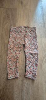 Superleuke z8 legging, maat 74, Broekje, Meisje, Z8, Ophalen of Verzenden