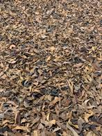 160x230 BRINKER LEER Karpet/Vloerkleed/Tapijt NU 99 Euro!