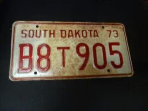 Kentekenplaat licenseplate South Dakota 1973 1 USA, Verzamelen, Automerken, Motoren en Formule 1, Gebruikt, Auto's, Verzenden