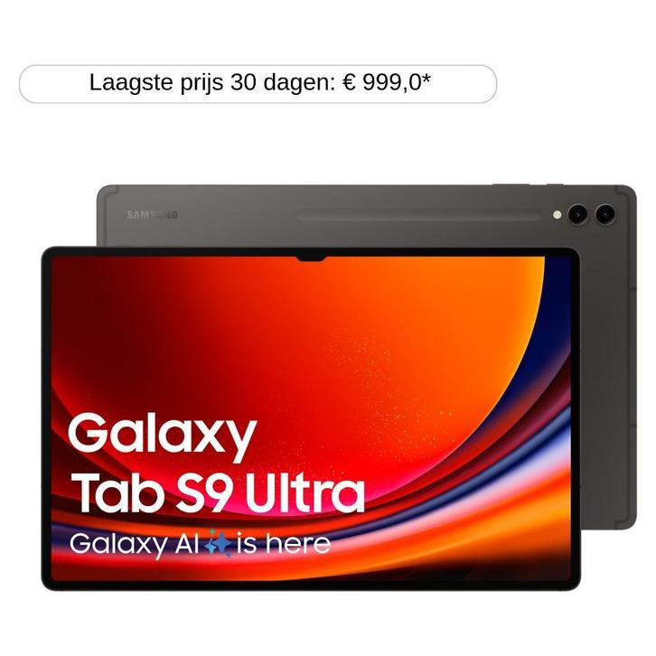 Samsung Galaxy Tab S9 Ultra 256GB grijs z.g.a.n., Computers en Software, Android Tablets, Zo goed als nieuw, Wi-Fi, 13 inch of meer