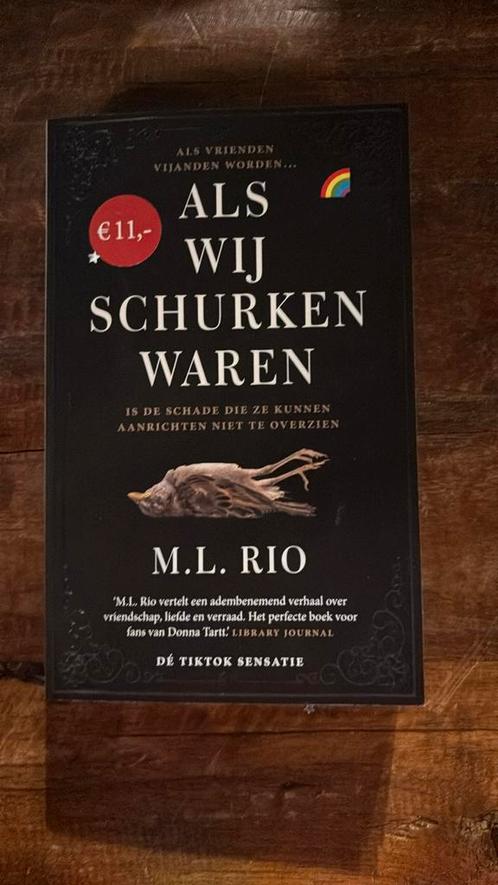 M.L. Rio - Als wij schurken waren, Boeken, Literatuur, Zo goed als nieuw, Nederland, Ophalen of Verzenden