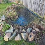 Vijverbak met vissen, pomp en filterbak., Tuin en Terras, Ophalen, Gebruikt