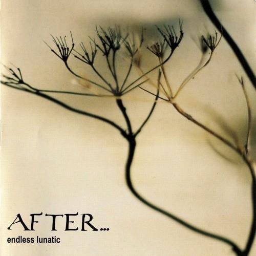 265 - AFTER... - ENDLESS LUNATIC - NIEUW, Cd's en Dvd's, Cd's | Rock, Nieuw in verpakking, Progressive, Verzenden