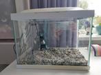 Superfish aquarium start 20 liter kweekbak, Dieren en Toebehoren, Vissen | Aquaria en Toebehoren, Ophalen, Leeg aquarium