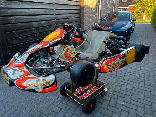 Crg Rebel rotax max 125cc senior, Sport en Fitness, Karting, Gebruikt, Kart, Ophalen