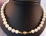 Wit parelcollier- 46,5 cm - 14 karaat goud - 25,50 gram, Sieraden, Tassen en Uiterlijk, Kettingen, Verzenden, Wit, Nieuw, Met edelsteen