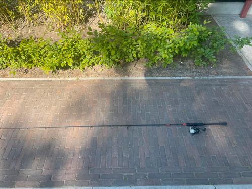 Roofvishengel met molen, Watersport en Boten, Hengelsport | Roofvissen, Zo goed als nieuw, Werphengel, Ophalen of Verzenden
