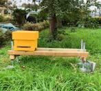 Bijenvolk gezocht, Dieren en Toebehoren, Bijen