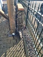 30x30 Tegels voor Platdak - 50m2, Gebruikt, Keramiek, Ophalen of Verzenden, 20 tot 40 cm