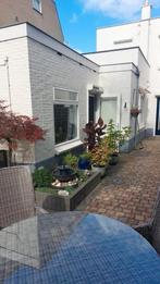 Gratis tuintegels, Ophalen, Gebruikt, Klinkers, 10 m² of meer