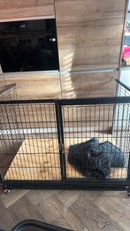 Grote bench, Dieren en Toebehoren, Hondenbenches, Ophalen, Gebruikt