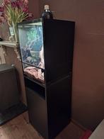 Terrarium 45x45x60, Dieren en Toebehoren, Reptielen en Amfibieën, 0 tot 2 jaar