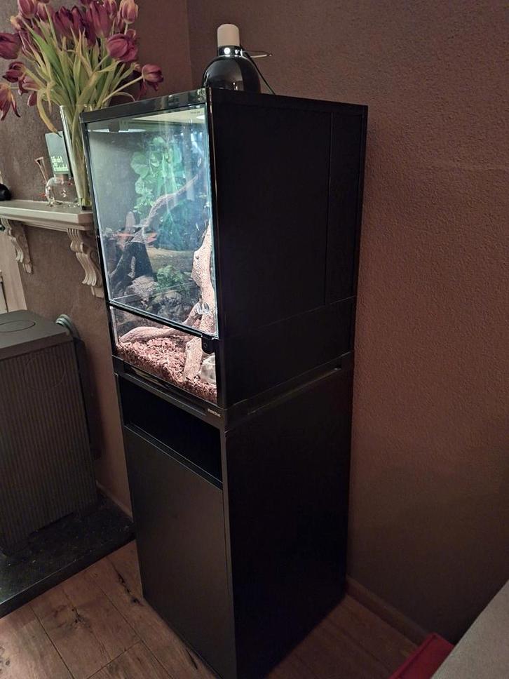 Terrarium 45x45x60, Dieren en Toebehoren, Reptielen en Amfibieën, 0 tot 2 jaar