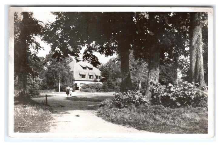 Kootwijk, 't Hilletje, Verzamelen, Ansichtkaarten | Nederland, Gelopen, Gelderland, 1940 tot 1960, Ophalen of Verzenden