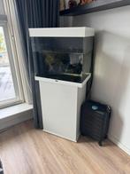 Compleet aquarium met bijpassende kast, Ophalen of Verzenden, Zo goed als nieuw, Gevuld zoetwateraquarium