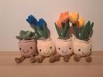 Hele leuke schattige planten knuffels voor bijv cadeau, Ophalen of Verzenden, Zo goed als nieuw, Overige typen
