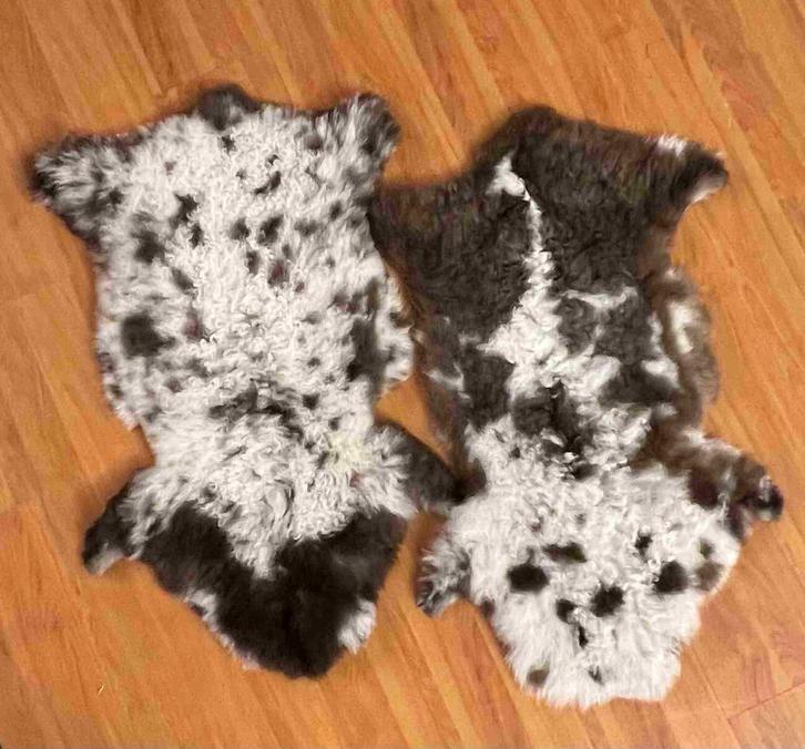 Nieuwe zachte bonte schapenvachtjes  80/40 cm, Huis en Inrichting, Woonaccessoires | Plaids en Woondekens, Gebruikt, Ophalen of Verzenden