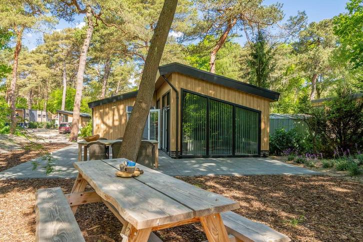 Luxe 6 persoons chalet te huur in Diever in Drenthe, Vakantie, Vakantiehuizen | Nederland, Drenthe, Chalet, Bungalow of Caravan