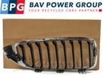 GRILLE LINKS ROOSTER NIEREN BMW 4 serie Gran Coupe (F36), Gebruikt, BMW