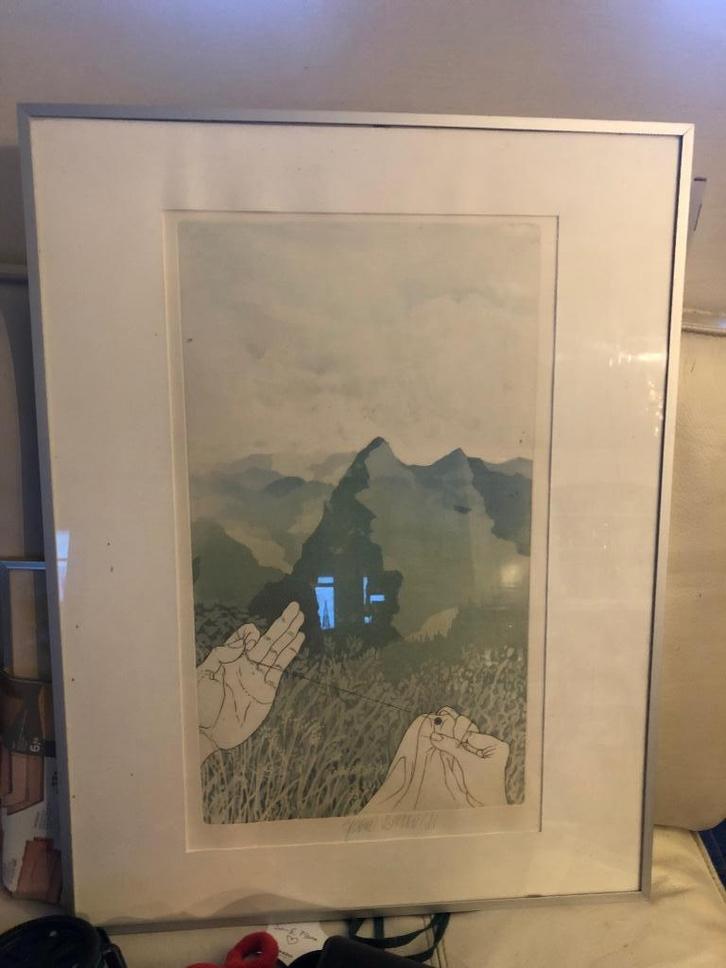 Grafieken, Antiek en Kunst, Kunst | Etsen en Gravures, Ophalen