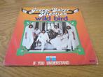 George Baker Selection 2 Singles in een zeer goede staat!, Ophalen, Gebruikt, 7 inch, Single