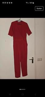 Mango jumpsuit - Maat S, Mango, Ophalen of Verzenden, Zo goed als nieuw, Maat 36 (S)