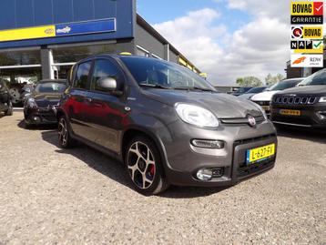 Fiat Panda 1.0 Hybrid Sport / Rijklaarprijs / NL-Auto beschikbaar voor biedingen