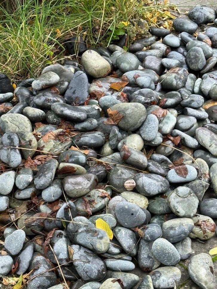 Beach pebbles black ofwel grijze keien 3-6 cm, Tuin en Terras, Grind, Keien en Split, Gebruikt, Kei, Grijs, Overige materialen