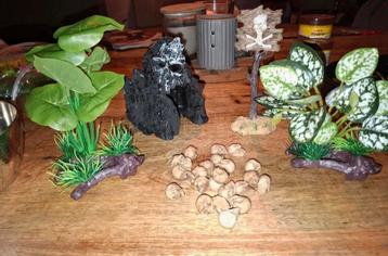 Aquarium accessoires  beschikbaar voor biedingen