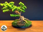 Handgemaakte kunstbonsai B29, Ophalen of Verzenden, Nieuw, Binnen