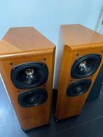 Tannoy D500, Ophalen, Zo goed als nieuw, Front, Rear of Stereo speakers, Overige merken