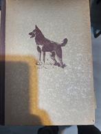 xingoe de hond, Verzenden, Gelezen, Onbekend