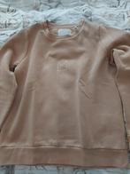 Beige Dames Trui - Maat L, Beige, Maat 42/44 (L), Ophalen of Verzenden, Gedragen