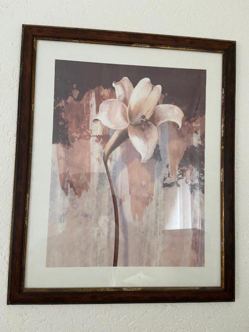2x oude print in lijst van bloemaquarellen, Huis en Inrichting, Woonaccessoires | Schilderijen, Tekeningen en Foto's, Zo goed als nieuw