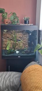 Juwel lido200, Ophalen, Zo goed als nieuw, Leeg aquarium