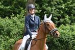 Pony in training, Dieren en Toebehoren, Paarden en Pony's | Verzorgingsproducten, Ophalen