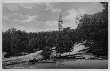 (388-411-029) Driebergen-Rijsenburg Bossen beschikbaar voor biedingen