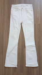 Cotton Club Wit Coco High Rise Flare W30 L34 Nieuw 98%kat2%e, Kleding | Dames, Broeken en Pantalons, Maat 38/40 (M), Verzenden