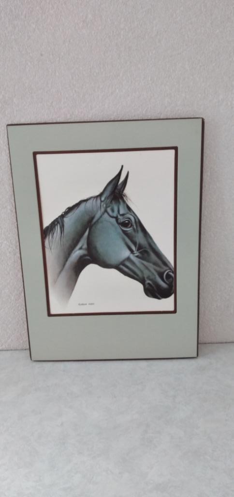 Schilderijtjes/wanddecoratie "dieren", Huis en Inrichting, Woonaccessoires | Schilderijen, Tekeningen en Foto's, Schilderij, Minder dan 50 cm