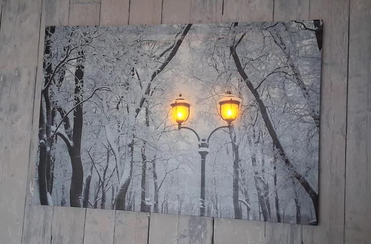 Wanddecoraties, Huis en Inrichting, Woonaccessoires | Wanddecoraties, Zo goed als nieuw, Ophalen of Verzenden